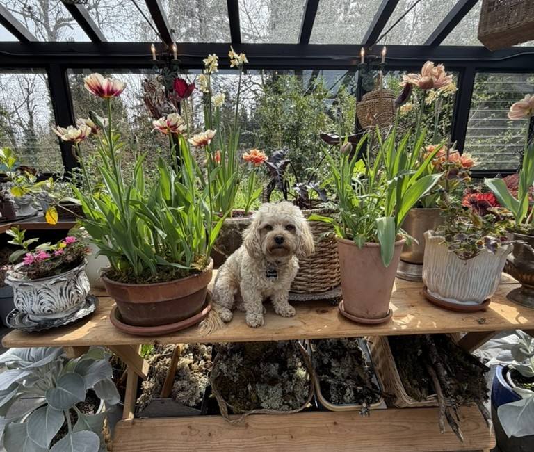 Workshop greenhouse